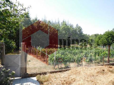 Quintinha T3 Venda em Sabugal e Aldeia de Santo António,Sabugal