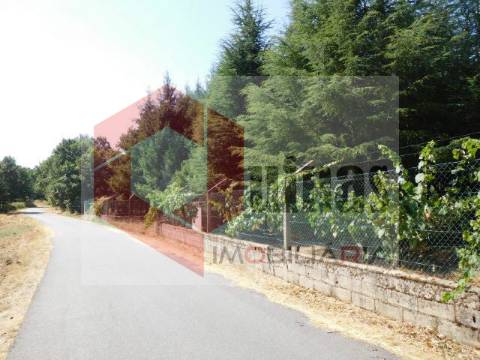 Quintinha T3 Venda em Sabugal e Aldeia de Santo António,Sabugal