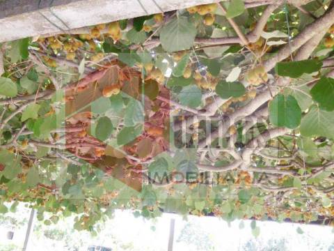 Quintinha T3 Venda em Sabugal e Aldeia de Santo António,Sabugal