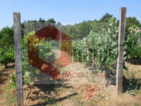 Quintinha T3 Venda em Sabugal e Aldeia de Santo António,Sabugal