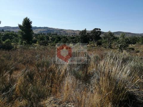 Quinta  Venda em Bendada,Sabugal