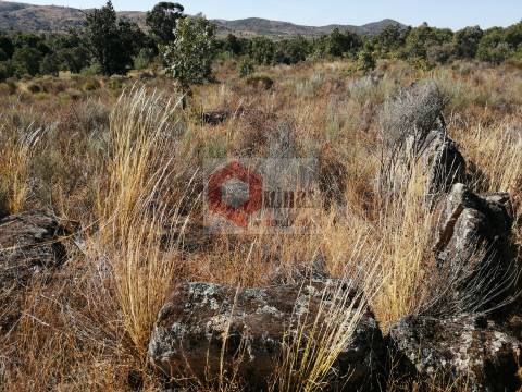 Quinta  Venda em Bendada,Sabugal