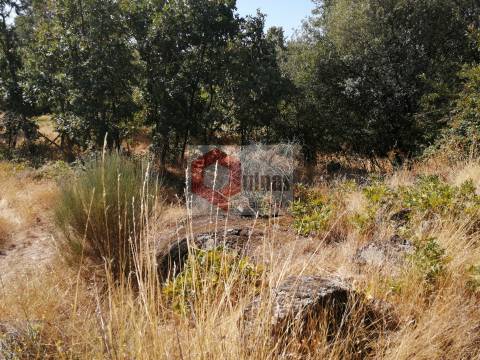 Quinta  Venda em Bendada,Sabugal