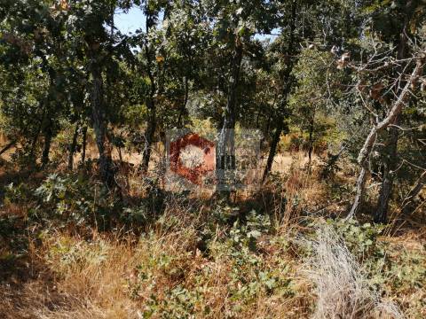 Quinta  Venda em Bendada,Sabugal