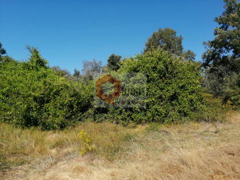 Quinta  Venda em Bendada,Sabugal