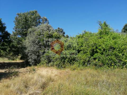 Quinta  Venda em Bendada,Sabugal