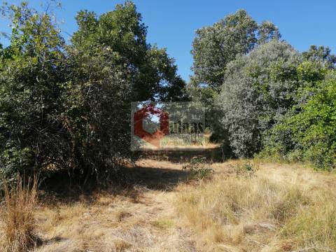Quinta  Venda em Bendada,Sabugal