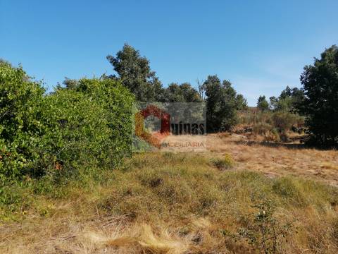 Quinta  Venda em Bendada,Sabugal