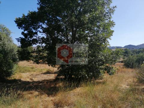 Quinta  Venda em Bendada,Sabugal