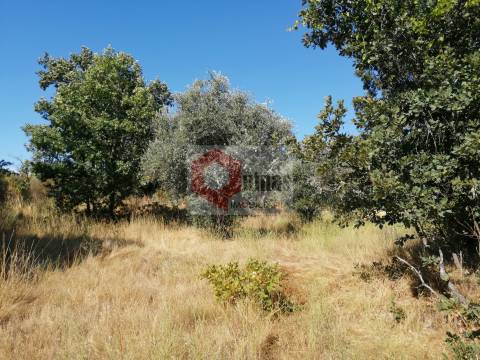 Quinta  Venda em Bendada,Sabugal