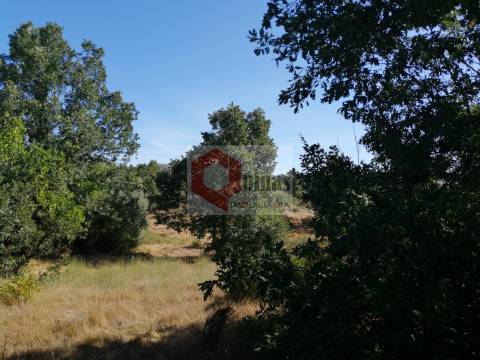 Quinta  Venda em Bendada,Sabugal