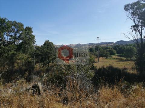 Quinta  Venda em Bendada,Sabugal