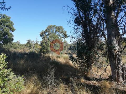 Quinta  Venda em Bendada,Sabugal