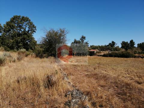 Quinta  Venda em Bendada,Sabugal