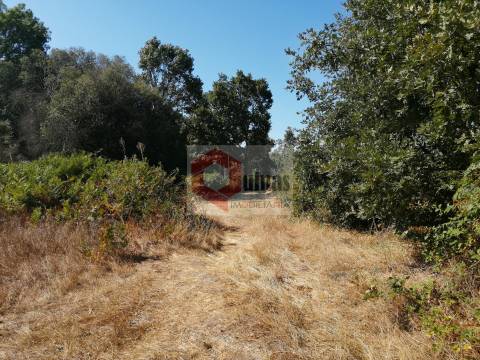 Quinta  Venda em Bendada,Sabugal