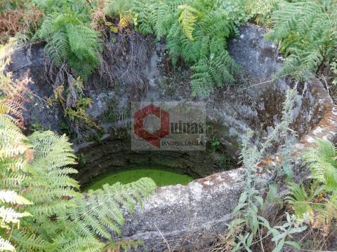 Quinta  Venda em Bendada,Sabugal