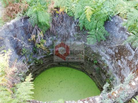 Quinta  Venda em Bendada,Sabugal