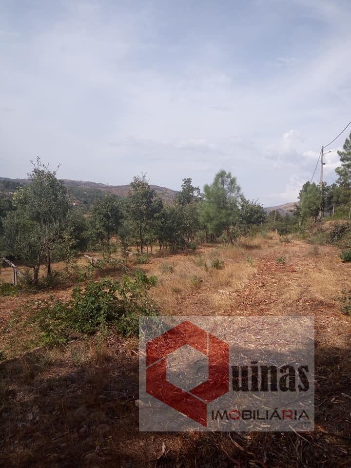 Quintinha T0 Venda em Vela,Guarda