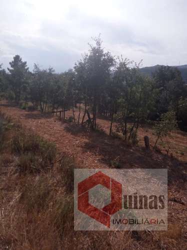 Quintinha T0 Venda em Vela,Guarda