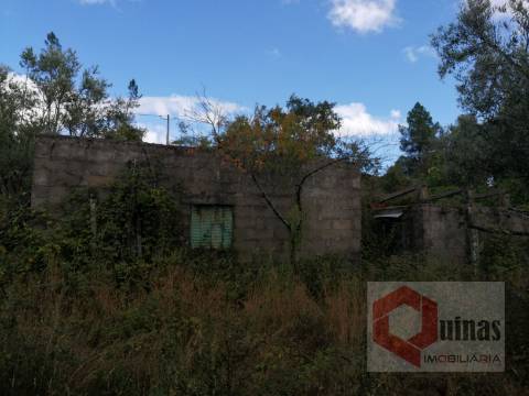 Quintinha T0 Venda em Vela,Guarda