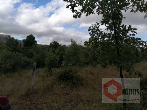 Quintinha T0 Venda em Vela,Guarda