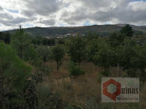 Quintinha T0 Venda em Vela,Guarda