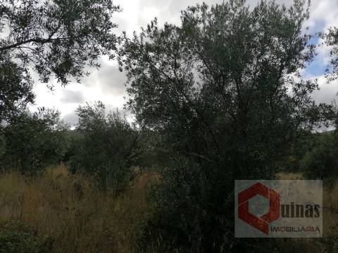 Quintinha T0 Venda em Vela,Guarda