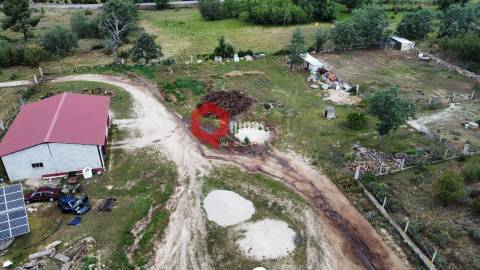 Cunicultura para venda