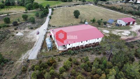 Cunicultura para venda