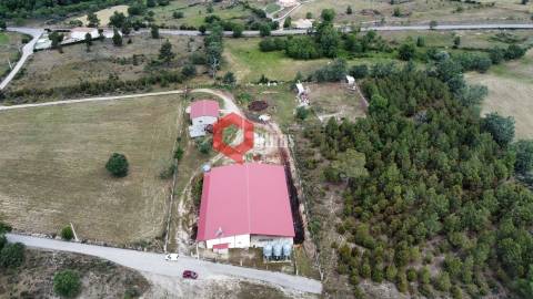 Cunicultura para venda