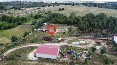 Cunicultura para venda