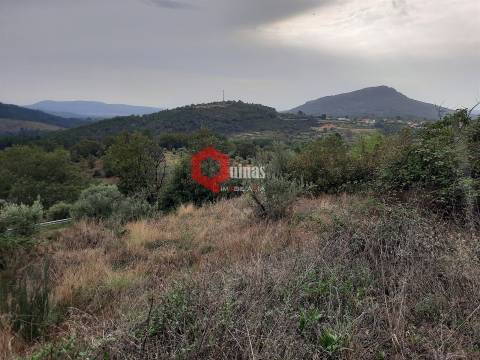 Terreno com 11.000,m2 para VENDA em Santo Estevão, Sabugal