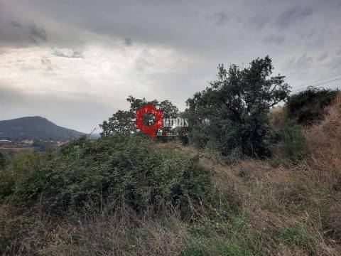 Terreno com 11.000,m2 para VENDA em Santo Estevão, Sabugal