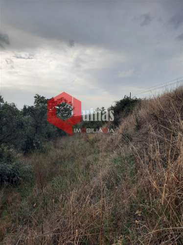 Terreno com 11.000,m2 para VENDA em Santo Estevão, Sabugal