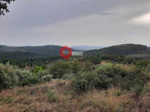 Terreno com 11.000,m2 para VENDA em Santo Estevão, Sabugal