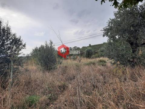 Terreno com 11.000,m2 para VENDA em Santo Estevão, Sabugal