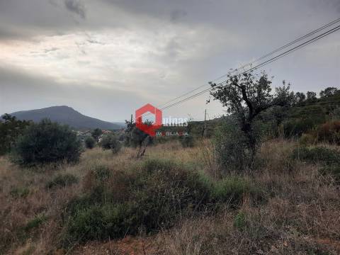Terreno com 11.000,m2 para VENDA em Santo Estevão, Sabugal