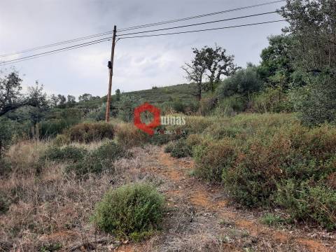 Terreno com 11.000,m2 para VENDA em Santo Estevão, Sabugal