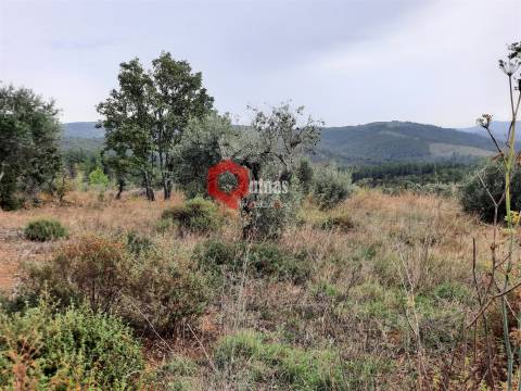 Terreno com 11.000,m2 para VENDA em Santo Estevão, Sabugal