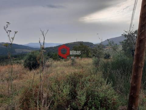 Terreno com 11.000,m2 para VENDA em Santo Estevão, Sabugal