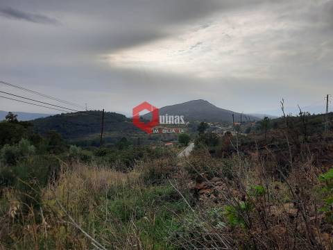 Terreno com 11.000,m2 para VENDA em Santo Estevão, Sabugal