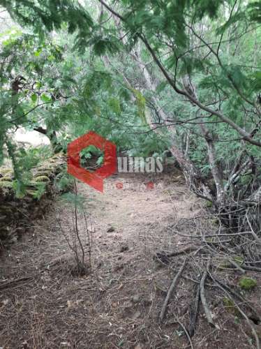 Terreno com 11.000,m2 para VENDA em Santo Estevão, Sabugal