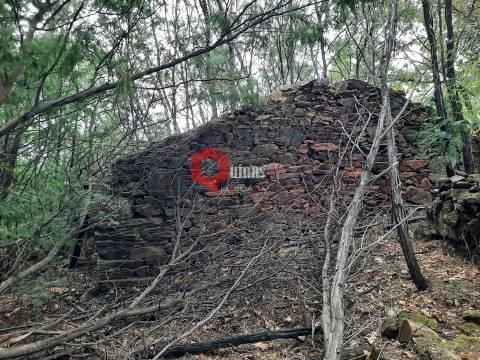 Terreno com 11.000,m2 para VENDA em Santo Estevão, Sabugal