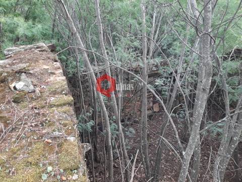 Terreno com 11.000,m2 para VENDA em Santo Estevão, Sabugal