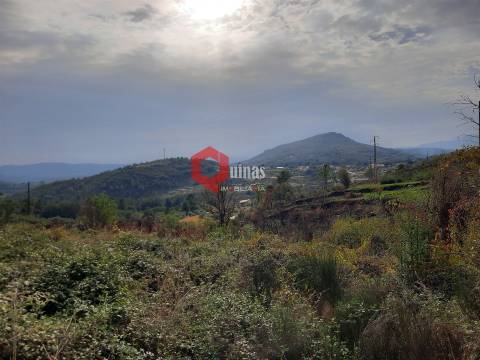 Terreno com 11.000,m2 para VENDA em Santo Estevão, Sabugal