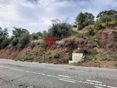 Terreno com 11.000,m2 para VENDA em Santo Estevão, Sabugal