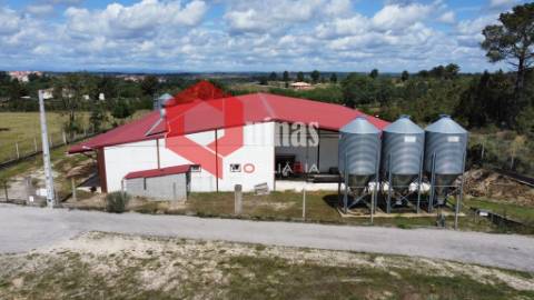 Armazém para venda em Alfaiates