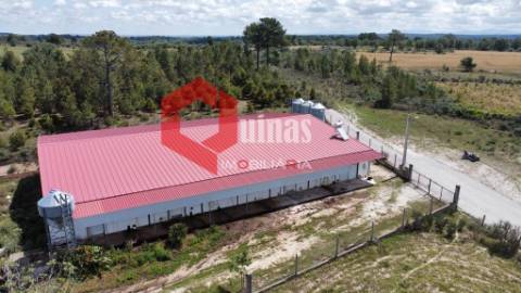 Armazém para venda em Alfaiates