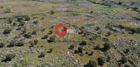 Terreno agricola com 19ha, Malpartida, Almeida