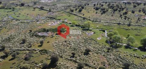 Terreno agricola com 19ha, Malpartida, Almeida